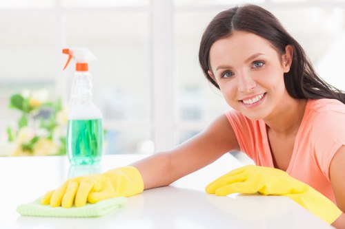 Regular cleaning supplies arranged for home maintenance