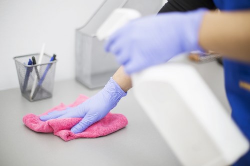 Professional Greenwich cleaners working in a modern apartment