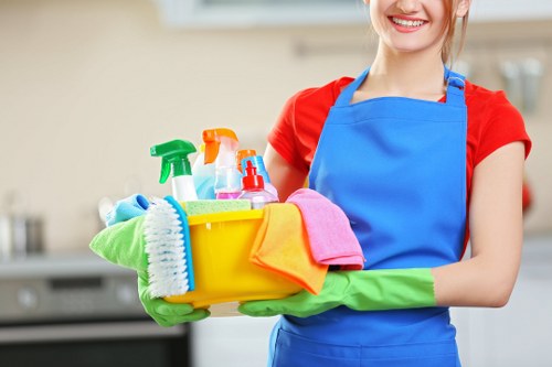 Professional move out cleaning in a bright empty living room