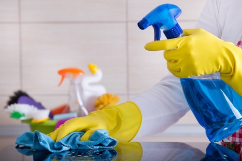 Cleaning supplies used for deep cleaning tasks around the home