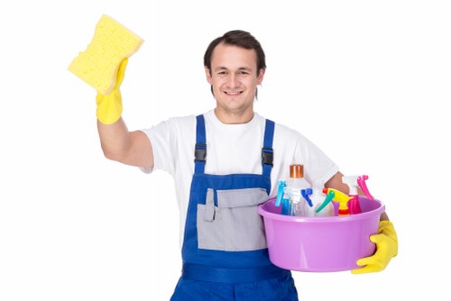 Professional window cleaning improving a home exterior