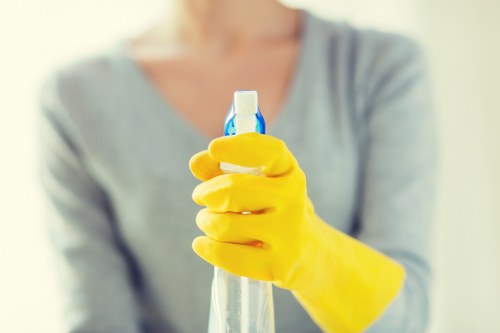 Cleaning supplies arranged for household cleaning tasks