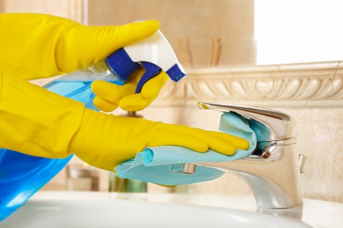 Professional one off cleaning in a living room