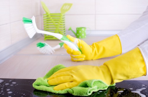 Detailed cleaning before unpacking boxes