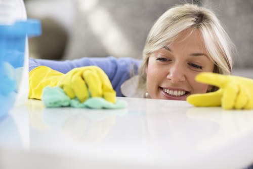 Deep cleaning service for kitchen surfaces