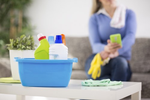 Smart thermostat and energy efficiency in a modern home