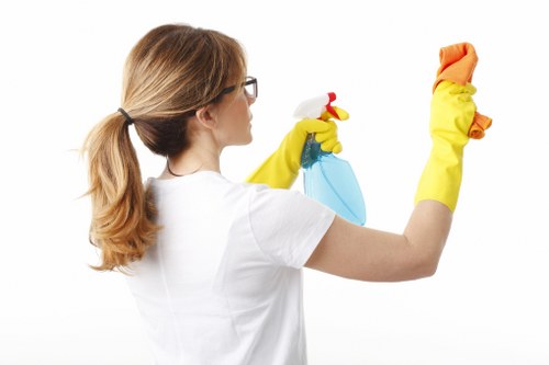 Deep cleaning details for a vacation rental bathroom and kitchen