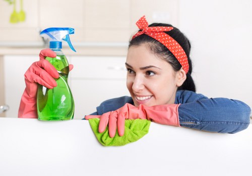 DIY sofa cleaning with vacuum and cloth