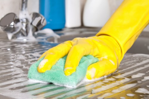 Cleaning oven racks and glass door